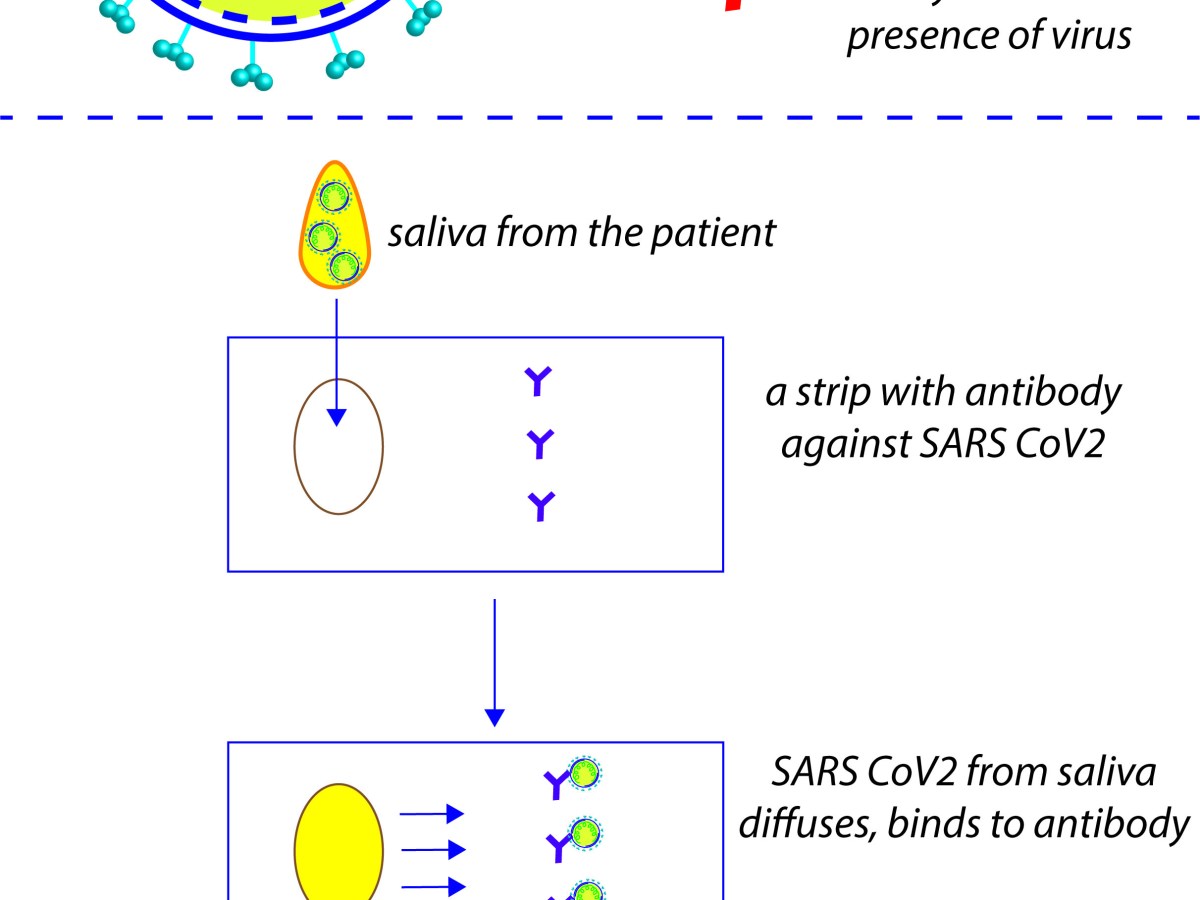 Updates on COVID-19 and a solution to control&nbsp;spreading