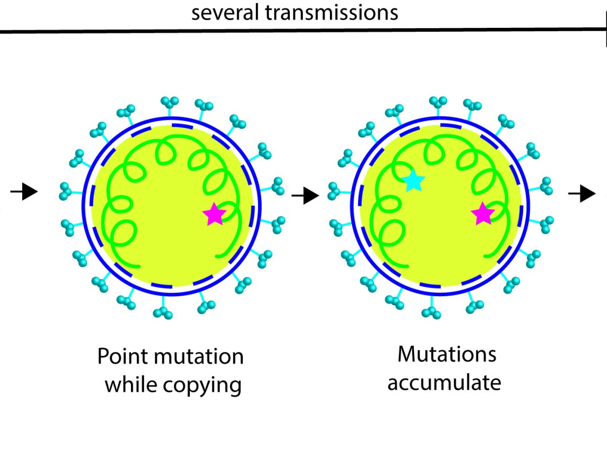 Variants Of Concern- a nightmare coming&nbsp;true?