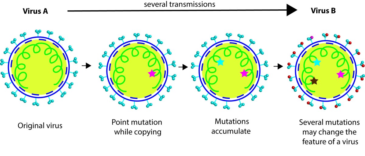 Variants Of Concern- a nightmare coming&nbsp;true?